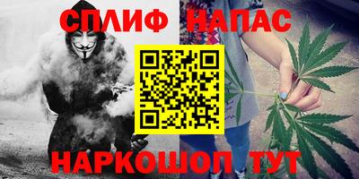 МДПВ Новокубанск