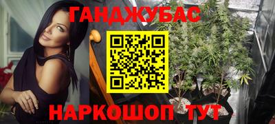 jwh Новозыбков