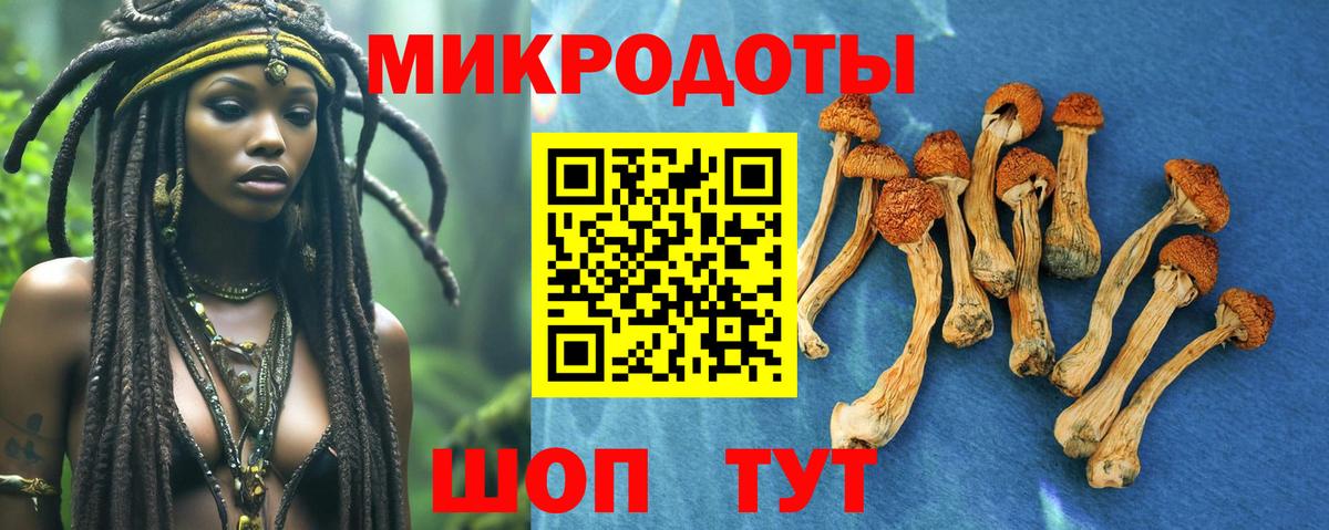 Псилоцибиновые грибы мицелий  Псилоцибиновые грибы Cubensis  Строитель  Вход с VPN 